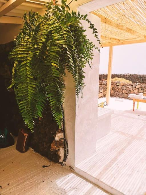 Estudio Con Bano Privado Orzola Extérieur photo